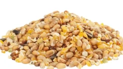 VERSELE LAGA GRA-MIX POULES D'ARDENNES 20KG