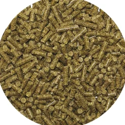 REVERDY GRANULE ADULT SPECIFIC ENERGY 20KG