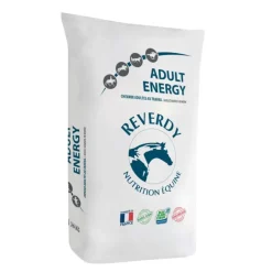 REVERDY GRANULES ADULT ENERGY 20KG