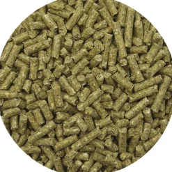 REVERDY GRANULES ADULT ENERGY 20KG