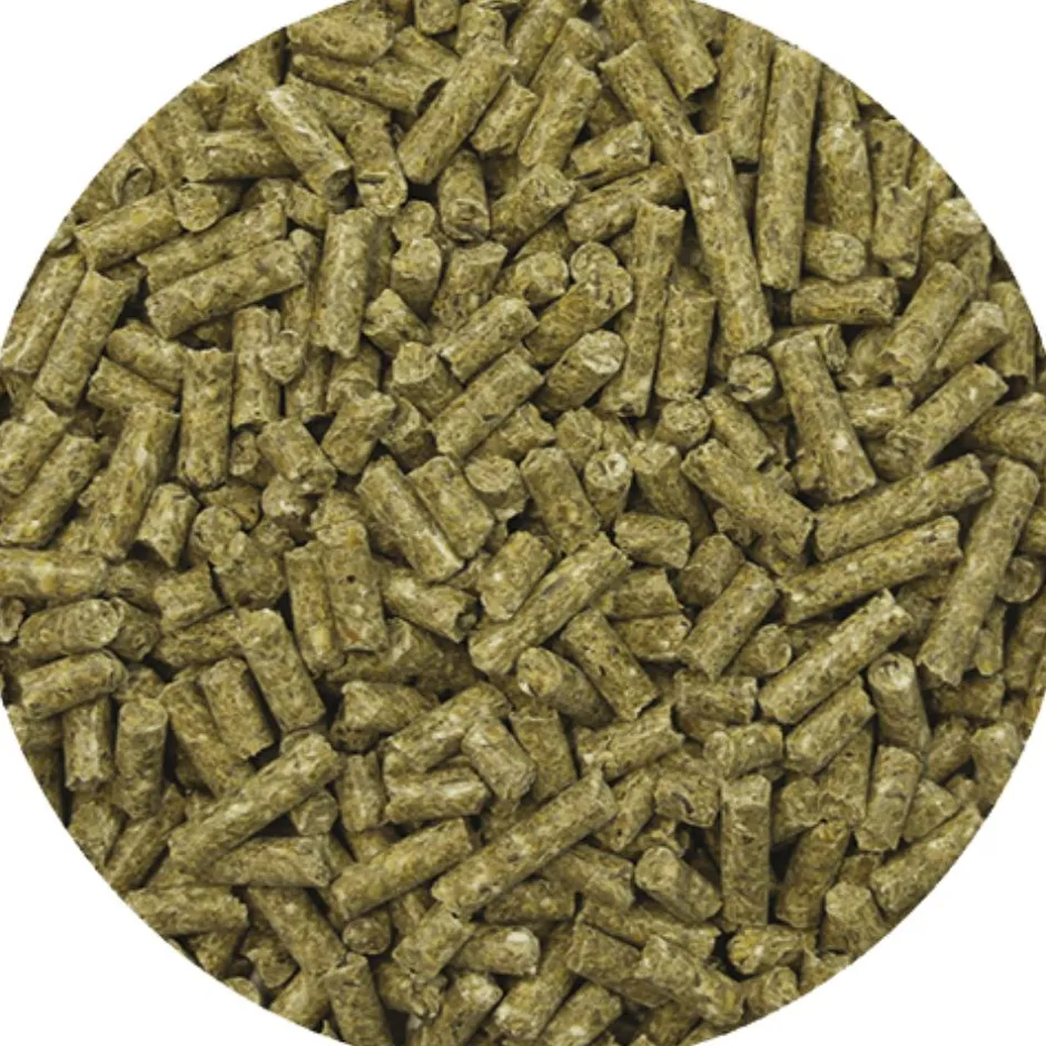 REVERDY GRANULES ADULT ENERGY 20KG