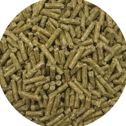 REVERDY GRANULES ADULT 20KG