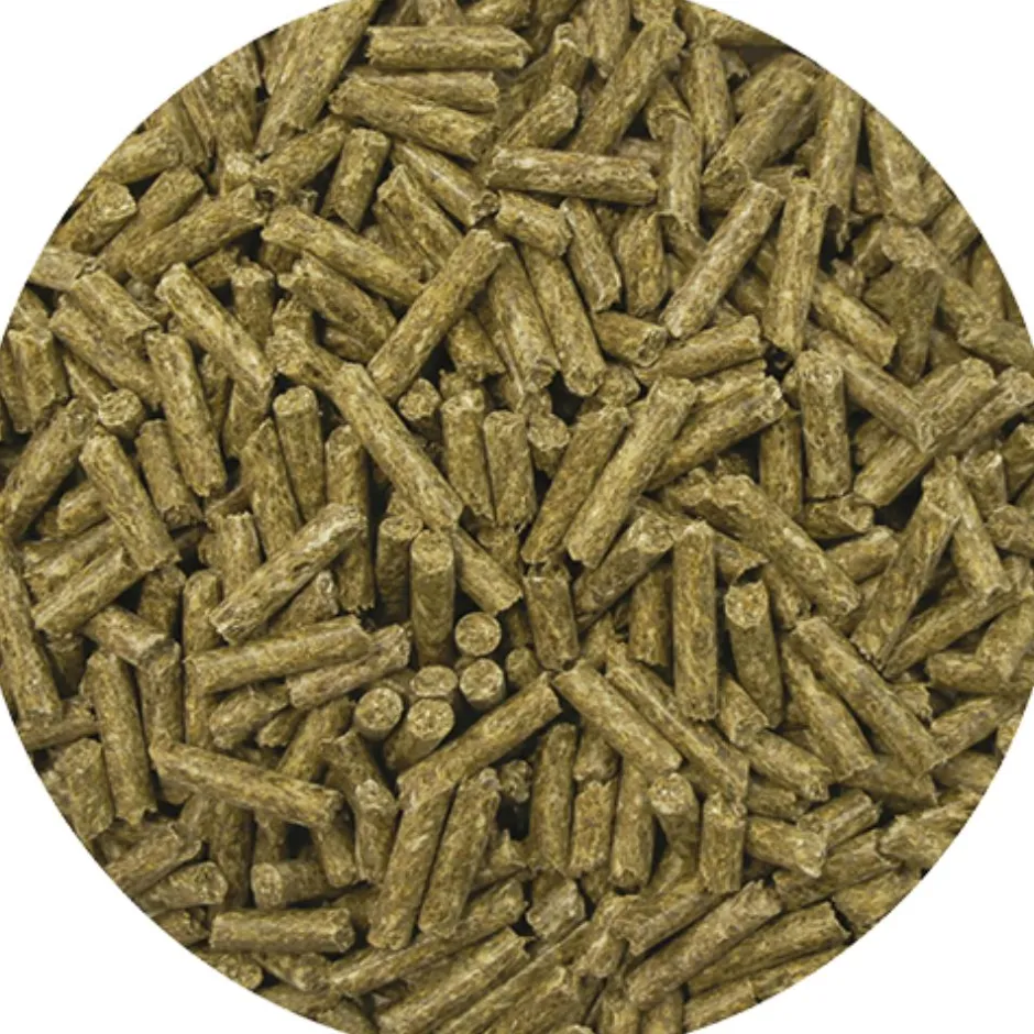 REVERDY GRANULES ADULT 20KG