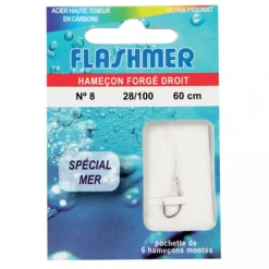 FLASHMER HAMECON MONTE MER