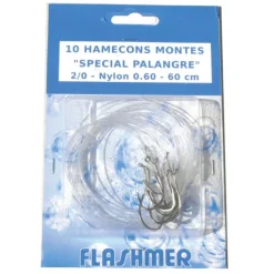 FLASHMER HAMECON MONTE PALANGRE