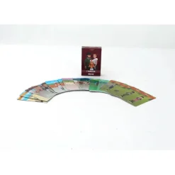 Enfant TERRES & EAUX JEU DE 7 FAMILLES T&E CAVALIERS