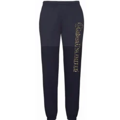 Homme GABION UNLIMITED JOGGING MIGRATEUR MARINE
