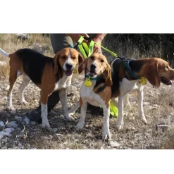 CANIHUNT LAISSE TRIPLEUR HUNTER 1,2M JAUNE