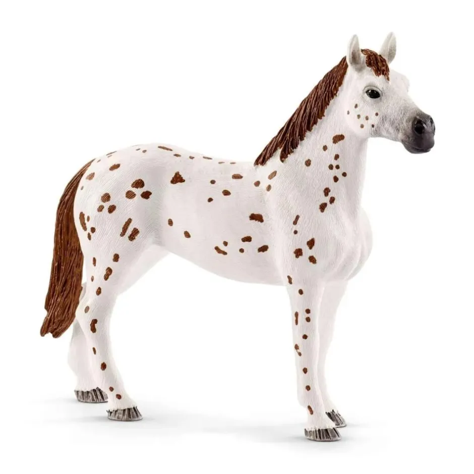 Enfant SCHLEICH LENTRAÎNEMENT AU CONCOURS DHORSE CLUB