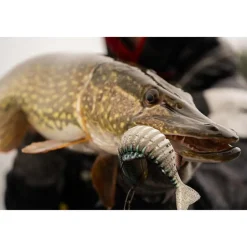 FOX RAGE LEURRE REPLICANT JOINTED 15CM 60G