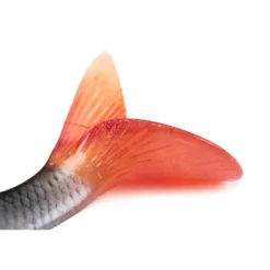 FOX RAGE LEURRE REPLICANT ULTRA REAL 14CM