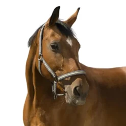 NORTON LICOL BOUCLERIE NOIRE CHEVAL
