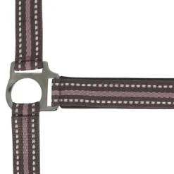 NORTON LICOL BOUCLERIE NOIRE PONEY