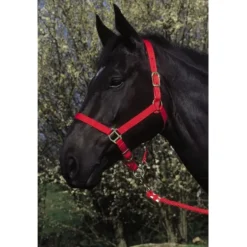 RIDING WORLD LICOL NYLON FIRST ROUGE