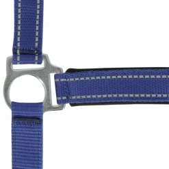 NORTON LICOL REFLECTIVE CHEVAL