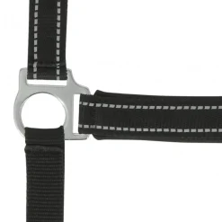 NORTON LICOL REFLECTIVE COB