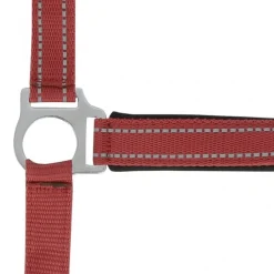 NORTON LICOL REFLECTIVE COB