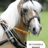 EDITION VIGOT LIVRE 50 CONSEILS POUR L'ATTELAGE