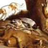 EDITION DE MONTBEL LIVRE 365 HISTOIRES DE CHASSE