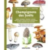 EDITIONS SALAMANDRE LIVRE CHAMPIGNONS DES FORETS