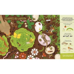 Enfant EDITION LA SALAMANDRE LIVRE CHERCHE & TROUVE SALAMANDRE