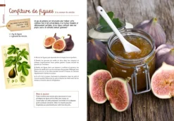 ARTEMIS LIVRE CONFITURES GELEES 4 SAISONS