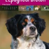 ARTEMIS LIVRE EPAGNEUL BRETON / A.FOURNIER