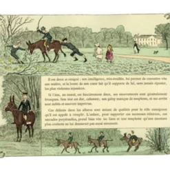 EDITION DE MONTBEL LIVRE L'EQUITATION PAR CRAFTY