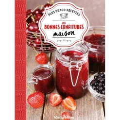 EDITION RUSTICA LIVRE MES BONNES CONFITURES