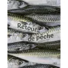 FIRST LIVRE RETOUR DE PECHE