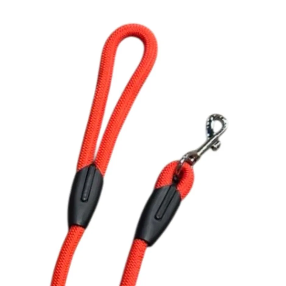 TERZEO VOS ANIMAUX LONGE NYLON RONDE DE RECHERCHE