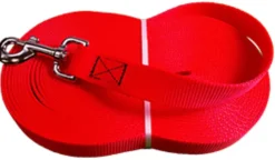 HB DOG LONGE PLATE ORANGE 5M