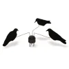 TERZEO CHASSEURS MANEGE A CORBEAUX X3