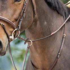 HFI MARTINGALE A ANNEAUX MARRON