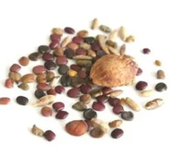 VILMORIN MELANGE SANGLIER SOL CALCAIRE 1KG