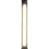 CAO NÉON GONFLABLE RECHARGEABLE 200 LUMENS