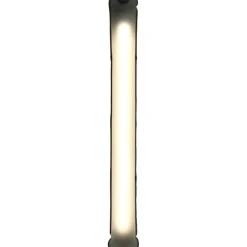 CAO NÉON GONFLABLE RECHARGEABLE 200 LUMENS