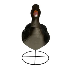 TERZEO CHASSEURS OIE CENDREE HD SUR PATTES GAGNAGE