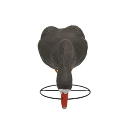 TERZEO CHASSEURS OIE RIEUSE HD SUR PATTES MANGEUSE