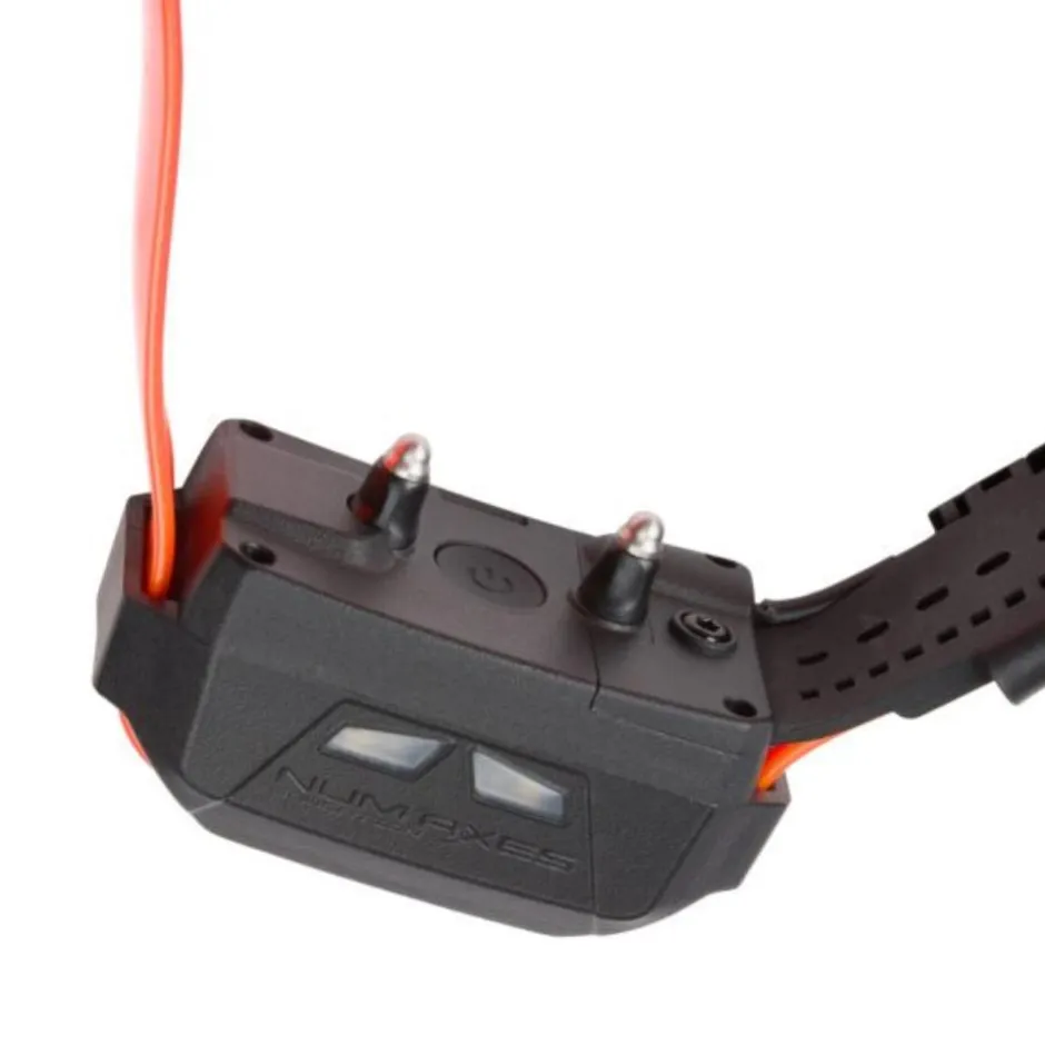 NUM'AXES EDUCATION PACK CANICOM GPS 2 MINI AVEC DRESSAGE