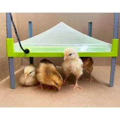 RIVER SYSTEM PANNEAU CHAUFFANT POUR POUSSINS 30,5X23 CM