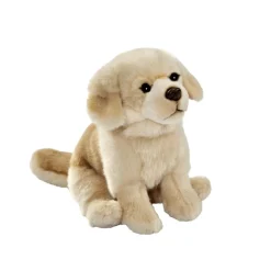 Enfant ANIMA PELUCHE GOLDEN ASSIS 30 CM
