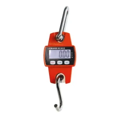 PESON ELECTRONIQUE 250KG