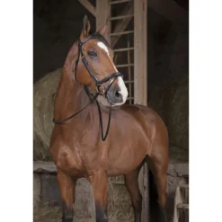 NORTON RENES HUNTER PRO 16MM CHEVAL NOIR