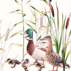 AMBIENTE SERVIETTE COUPLE DE CANARDS