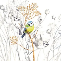 AMBIENTE SERVIETTE PETITS OISEAUX