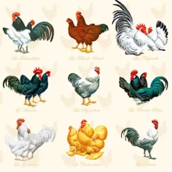 AMBIENTE SERVIETTE POULES COQS