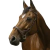 NORTON SIDE PULL CONFORT CHEVAL