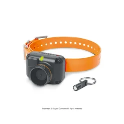 DOGTRA SONAILLON BEEPER STB BEEP - H (BEEP AIGU)