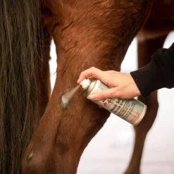 LEOVET SPRAY A L'OXYDE DE ZINC 200ML
